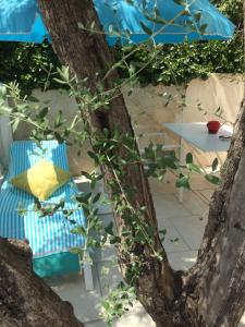 Appartements Villa Colombier : photos des chambres