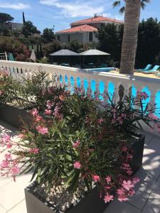 Appartements Villa Colombier : photos des chambres