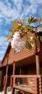 "Карпатський краєвид" - 喀尔巴阡