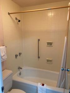 Double Room room in America's Best Value Inn