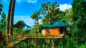 Sitaram Mountain Retreat - Munnar