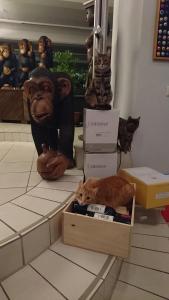 Wein-Hotel Auberge Mistral