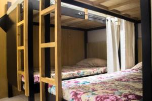 Bunks Hostel