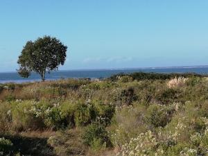 Le Pilotis photo 18