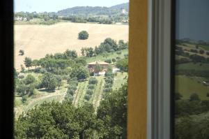 Country House Il Sassòne