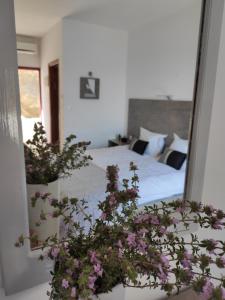 AFRODITI Hotel Studios