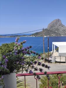 AFRODITI Hotel Studios Kalymnos Greece