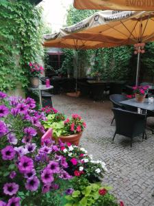 Villa Tradycja