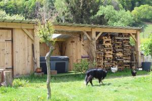B&B / Chambres d'hotes La Grande Ourse : photos des chambres