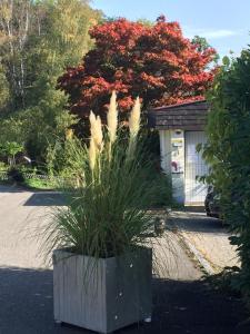 Joline private guest apartment just feel at home