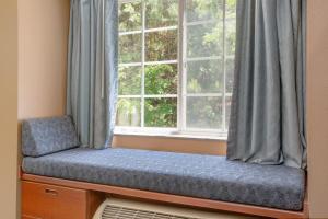 Queen Suite - Disability Access - Non-Smoking room in Microtel Inn & Suites by Wyndham Gardendale