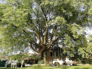 Boutique B&B Stancija 1904 Adults only