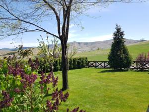 Apartments Hill House Zlatibor