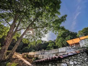 Maisons de vacances Les Cabanes de la Fontaine : photos des chambres