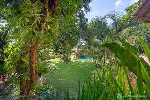 Wonderful luxury hideaway surrounded by nature!