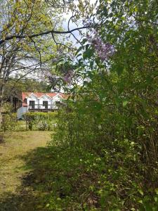 Osada Łowiecka Zamordeje Mazury