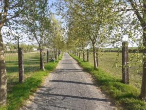 La Ligule - Cottages and childrens farm