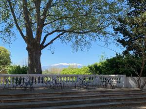 Maisons de vacances Gites du Castell de Bles : photos des chambres