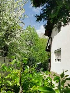 Casa File de Poveste - Mahalaua Botorogi