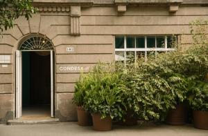 condesa df hotel booking
