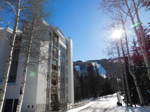 Tree Tops Lionshead by Vail Realty