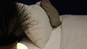 Sleep with Me Bangkok - BTS Phra Khanong