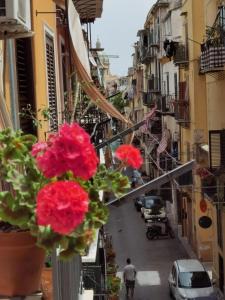 Il terrazzino sul Kemonia