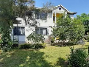 Hilda Blooms - Kibos