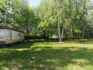 Domki nad Jeziorem Tarnobrzeskim