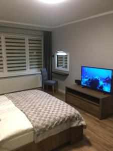 Apartament STUDENCKA