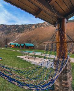 Eko Oaza-Tear of Europe