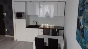 Apartament LUX w centrum Konina