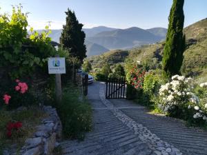 Bancal de Los Pérez