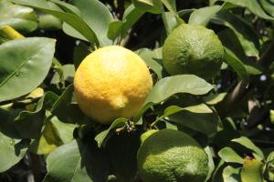 Casa Do Refugio Guest House