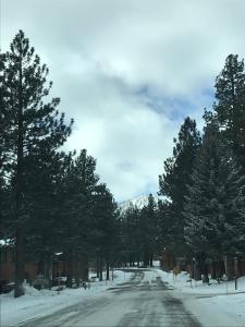 Mountainback 111