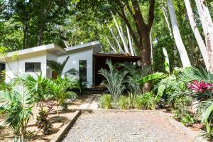 Eco Casita Phase I #10