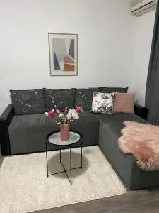 Apartman Aleksic - Bunar