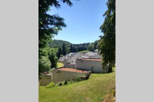 Appartements Studio au coeur des Volcans d Auvergne - Murol : photos des chambres