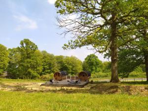 Lodges L'etape en foret : photos des chambres