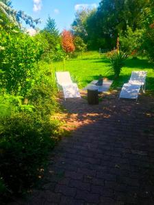 Appartements Lilly bulles en Champagne piscine et jardin privee : Villa avec Piscine Privée