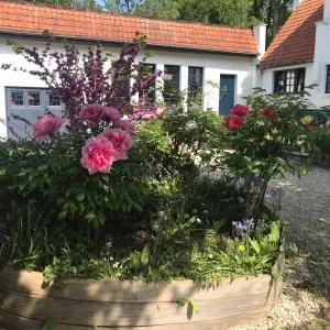 Bed and Breakfast Ros & Marc - Leefdael