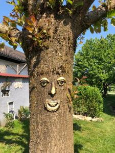Ferien- und Monteurswohnung Heilbrunnen