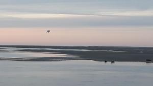 Appartements Vue exceptionnelle sur la Baie de Somme : photos des chambres