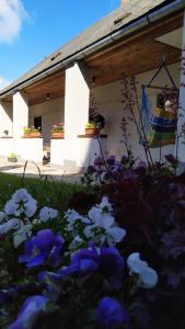 Várvölgy Vendégház - teljes ház, kizárólagos használattal