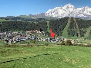 Grand appartement aux SAISIES