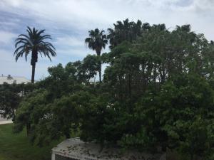 Apartamento delante del puerto deportivo .