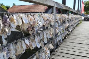 Maisons de vacances Gite Le Bonheur : photos des chambres