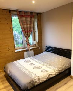 Appartements Chez Lea et Lolo - Le Nordique : photos des chambres