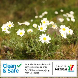 Cota 1500 - Chalé 51 - Penhas da Saúde