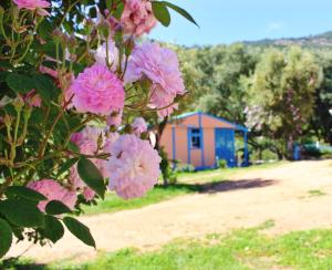 Maisons de vacances Residence Itylon : photos des chambres